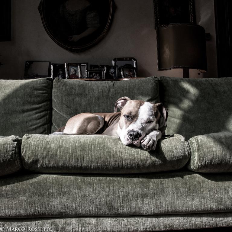Apartmán Palazzo Altinate - Note Di Piano Padova Pokoj fotografie